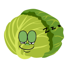 Sleeping Cabbage