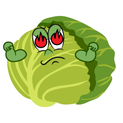 Enthusiasm Cabbage