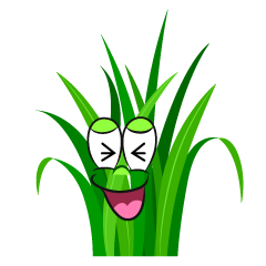 Laughing Grass