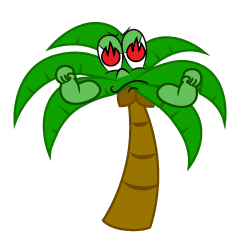 Enthusiasm Palm Tree