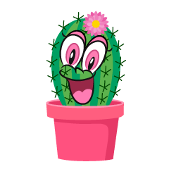 Surprising Girl Cactus
