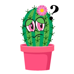 Thinking Girl Cactus