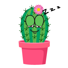 Sleeping Girl Cactus