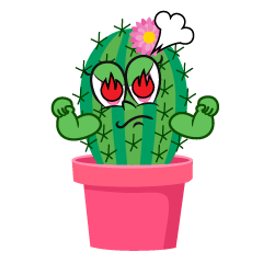 Enthusiasm Girl Cactus
