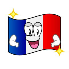 Glitter French Flag