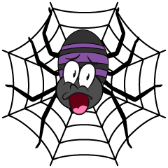 Surprising Spider Web