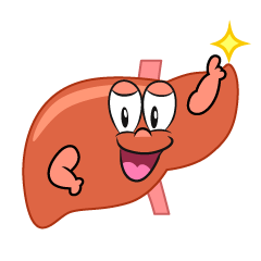 Posing Liver
