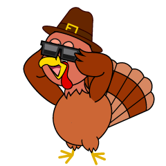 Cool Thanksgiving Turkey