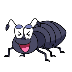 Laughing Ant