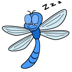 Sleeping Dragonfly