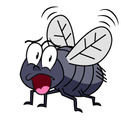 Surprising Fly