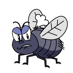 Angry Fly