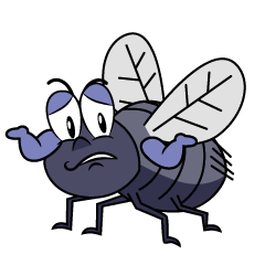 Troubled Fly