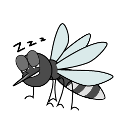 Sleeping Mosquito