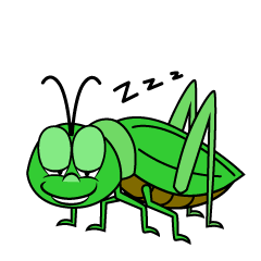 Sleeping Grasshopper