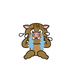 Crying Boar