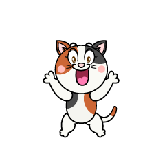 Surprising Calico Cat