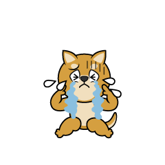 Crying Shiba Inu