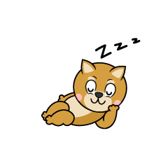 Sleeping Shiba Inu