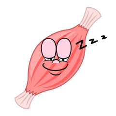 Sleeping Muscle