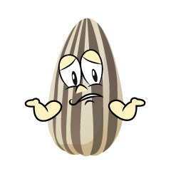 Troubled Sunflower Seed